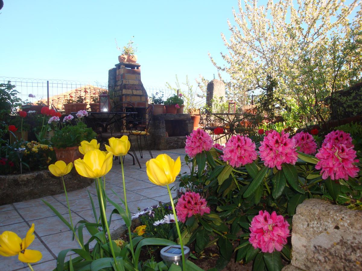 Bed and Breakfast D'Ici Et D'Ailleurs Cordes-sur-Ciel Exterior foto